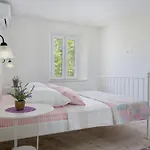 Vila Petit In Brela, Private Pool